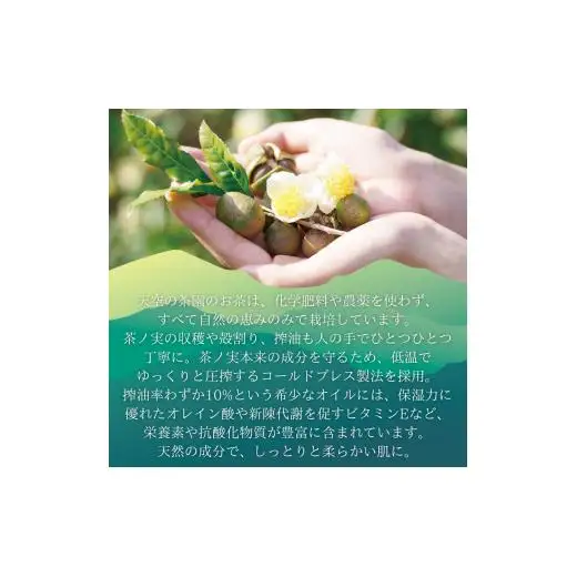 chaca 茶ノ実 オイルクリーム 45g 1個 茶ノ実オイル高配合（3%）