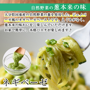＜先行予約受付中！2026年5月中旬以降順次発送予定＞ネギベーゼ(3本) ネギ ねぎ 葱 調味料 薬味 ペースト 勝負めし 【116900100】【リーコタクナ】