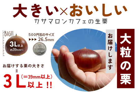 生栗 栗 2kg 1kg×2袋  特大 3L 以上 数量限定 国産 和栗 くり スイーツ 果物 フルーツ 栗きんとん モンブラン 栗ご飯 秋 旬 カサマロン 生産量 日本一 笠間 かさま ギフト プレゼント いばらき KA-001