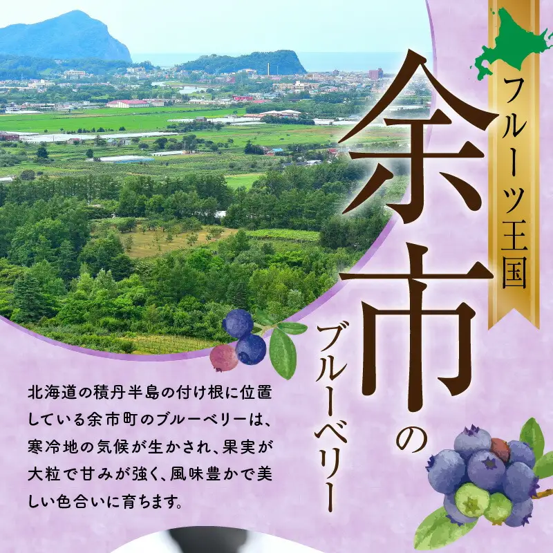 【先行予約：2026年8月上旬以降発送】フルーツ王国余市産 生ブルーベリー 1Kg【ニトリ観光果樹園】_Y074-0160