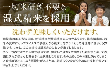 【12ヶ月定期便】阿蘇びより 無洗米 10kg (5kg×2袋)《お申込み翌月から出荷》 ｜国産米 人気米 熊本県産米 お米