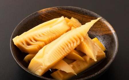 【生産者直送】春の恵み たけのこ 約4kg 以上（2~5本） 【2027年4月上旬発送開始】 やさい 野菜 竹の子 筍 タケノコ 熊本県産