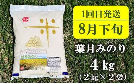 【先行予約・令和8年産新米定期便・8月下旬～発送】新潟米 3種食べ比べ 白米 4kg×3回（計 12kg）葉月みのり・コシヒカリ・新之助 水田環境鑑定士在籍[Y0196]