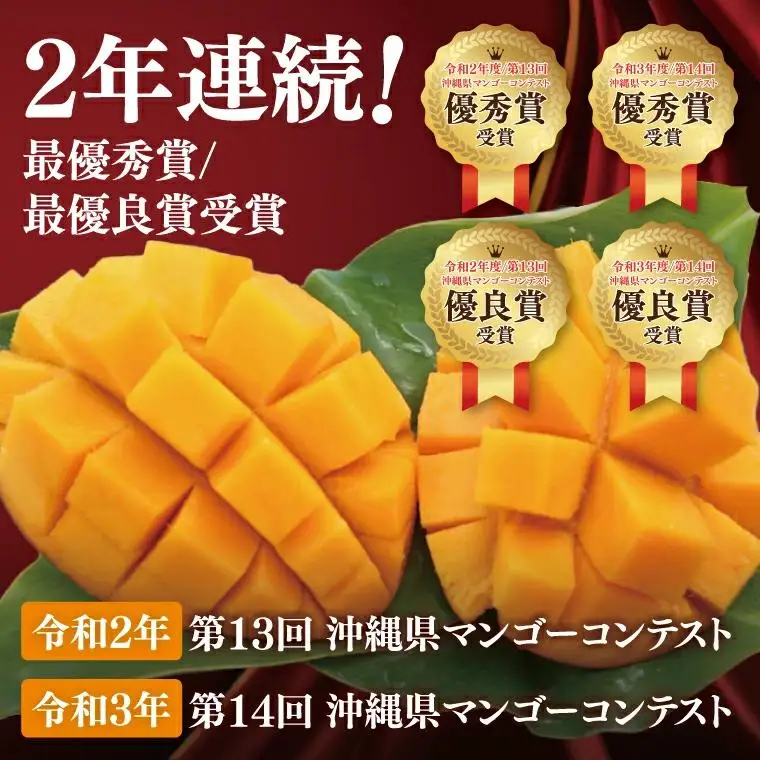 【訳あり】菜々色畑のアーウィンマンゴー 3～5玉(約2kg)【白箱】 ご家庭用