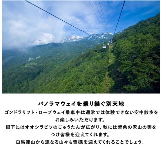 標高約1,900mの自然の宝庫、中部山岳国立公園・栂池自然園内「栂池山荘」に泊まる！小谷村宿泊券10,000円分