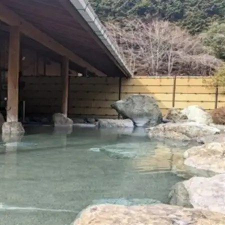 山梨県南部町秘湯「奥山温泉」日帰り入浴券(1名様分)【5枚】【1619542】