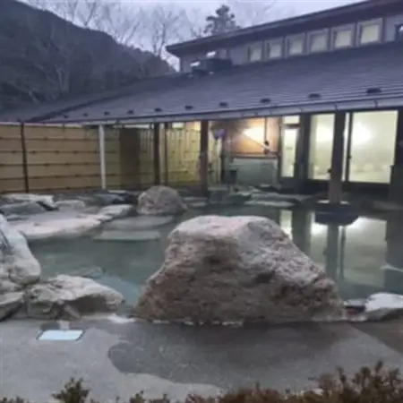 山梨県南部町秘湯「奥山温泉」宿泊券(1泊2食付き)3名様　10畳【1619599】