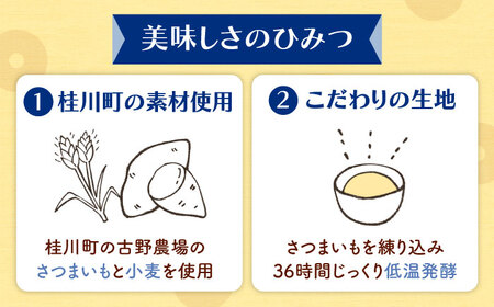 【全3回定期便】ふわもちリングドーナツ 6個セット（シュガー味）桂川町/Mio:Donut [ADBH063] ドーナツ セット 人気 定期便