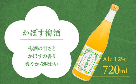 梅酒蔵おおやま 梅酒セット 各720ml / 酒 梅  / 日田市 / 株式会社おおやま夢工房[ARCW013]