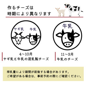 さーちゃんミニヤギ牧場 チーズ作り体験チケット 3人分