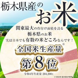 栃木県産 ミルキークイーン 10kg（5kg×2袋）【栃木県共通返礼品】AB | 栃木県 下野市