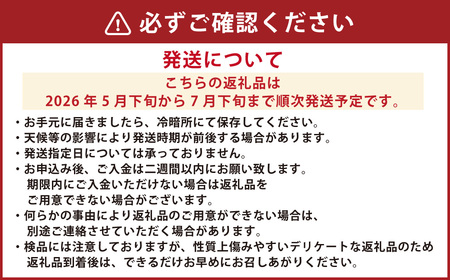 大玉すいか 秀品 1玉 約6kg?9kg 西瓜 スイカ 果物 くだもの フルーツ 【2026年5月下旬～7月下旬迄順次発送予定】