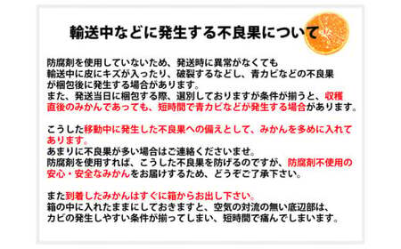 訳ありみかん 約5kg みかん 蜜柑 果物 くだもの フルーツ 【2026年10月上旬～2027年3月上旬発送予定】
