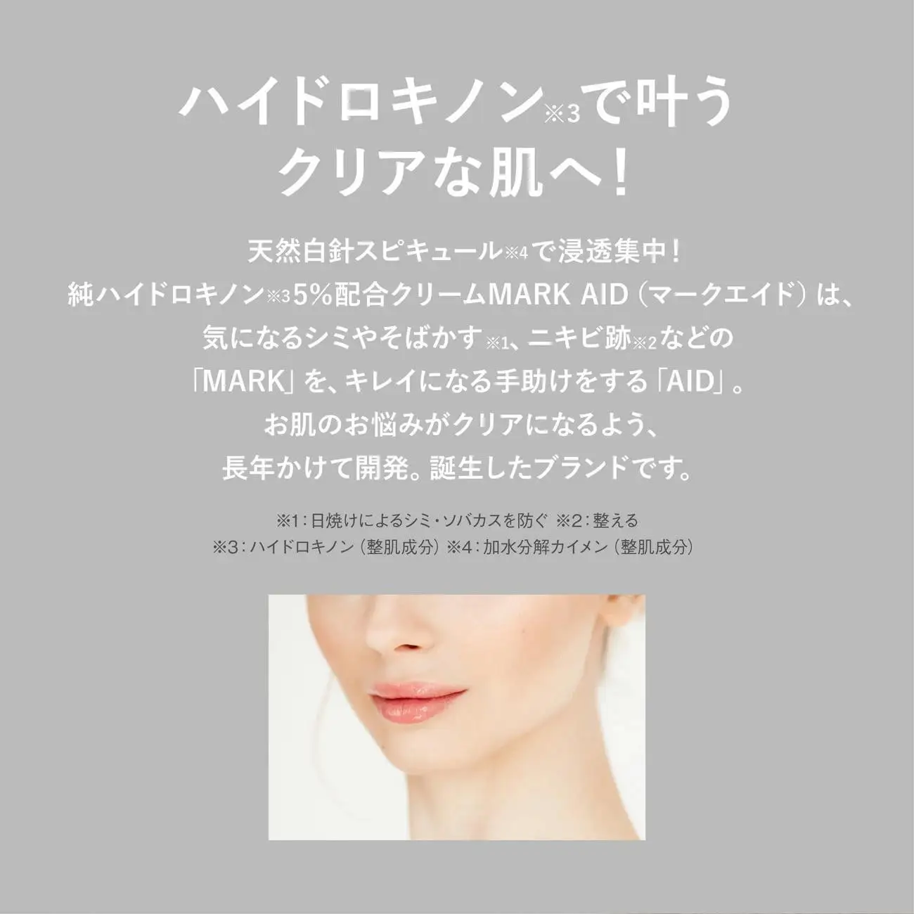 【MARK AID】ハイドスピキュールクリーム 2本セット【ハイドロキノン5％配合針クリーム】［ 京都 美容 ブランド 日やけによるしみ そばかす ケアクリーム 寝ている間にクリアな美肌へ 人気 おすすめ スキンケア用品 基礎化粧品 化粧品 美容クリーム お取り寄せ 通販 送料無料 ふるさと納税 ］