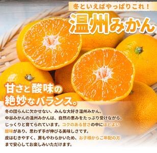 温州みかん 2kg 2S～2Lサイズ混合 11月発送 ※2026年11月中旬頃～11月下旬頃に順次発送予定【nktn004-r-2-nov】