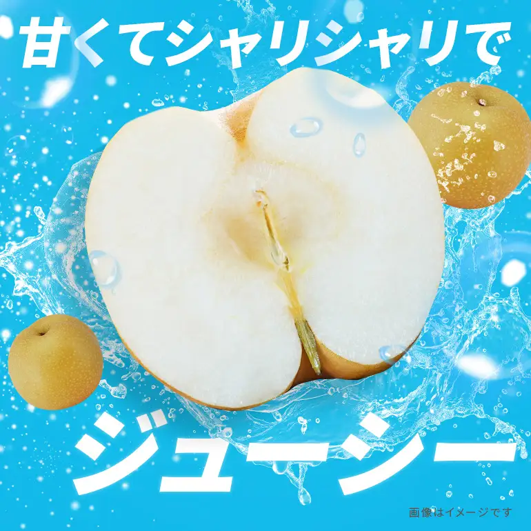 訳あり 柴沼梨園の梨 （ 幸水 ） 梨 5kg 訳あり品 10～18個入り 先行予約 【8月中旬～8月下旬発送】 BX-001