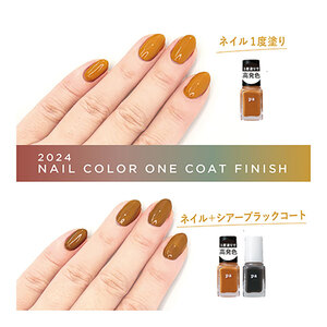 pa nail collective ネイル 4種 セット 4 マニキュア 速乾 ネイルカラー ベースコート トップコート ネイルケア ケア 爪 チェンジ 高発色 はがせるマニキュア 大阪 大阪府 岸和田市