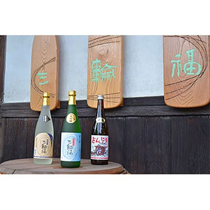 純米大吟醸 だんじり 3本 セット 創業文政元年 井坂酒造場 日本酒 原酒 大吟醸 お酒 酒 アルコール 純米 米 米こうじ 晩酌 家飲み 宅飲み ギフト 贈り物 プレゼント 大阪 大阪府 岸和田市