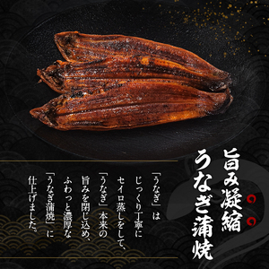 2026先行予約【7月発送】 国産うなぎ蒲焼 3尾 (720g～750g) 国産 うなぎ ウナギ 鰻 国産うなぎ 国産鰻 うなぎの蒲焼 鰻の蒲焼 うなぎの蒲焼き 鰻の蒲焼き 蒲焼き 惣菜 魚 魚介 魚介類 大阪 大阪府 岸和田市