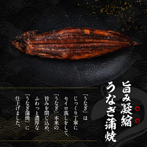 2026先行予約【7月発送】 国産うなぎ蒲焼 1尾 (240g～250g) 国産 うなぎ ウナギ 鰻 国産うなぎ 国産鰻 うなぎの蒲焼 鰻の蒲焼 うなぎの蒲焼き 鰻の蒲焼き 蒲焼き 惣菜 魚 魚介 魚介類 大阪 大阪府 岸和田市