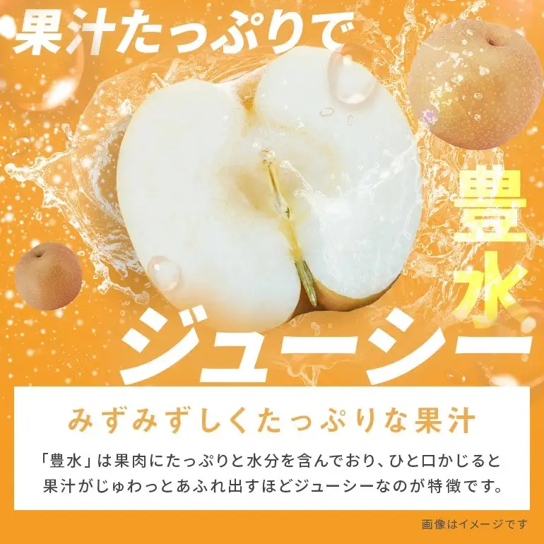 訳あり 柴沼梨園の梨 （ 豊水 ） 梨 5kg 10～16個入り 先行予約 【 9月上旬～9月下旬発送 】 BX-002
