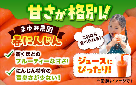  春にんじん10kg(訳あり)  にんじん BHCW002