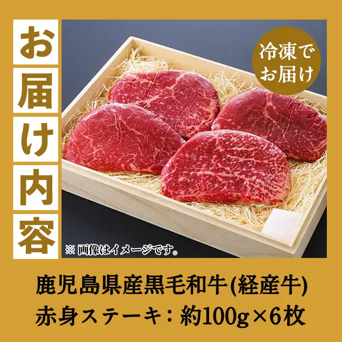 鹿児島県産 黒毛和牛（経産和牛） 赤身 ステーキ 約600g（100g×6枚） 国産 冷凍 小分け 尾崎牧場産【00-030-25】