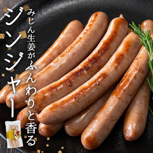 ナンチク の 黒豚 MEGUMI ウインナージンジャー(3P) 豚肉【ナンチク】A769
