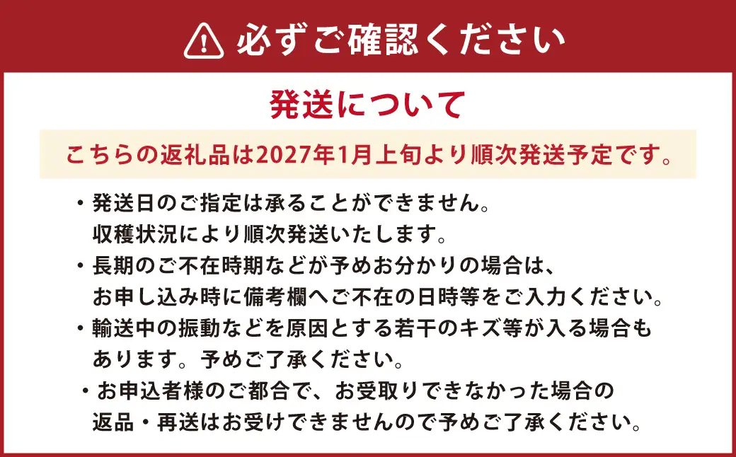 【年3回定期便】朝摘み当日発送！熊本県産いちご（ゆうべに）約1500g（約500g×3回）【2027年1月上旬発送開始】