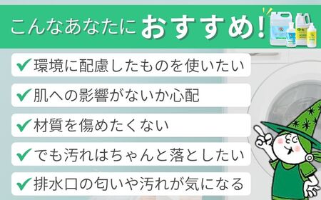 緑の魔女ランドリー＋柔軟剤セットA (緑の魔女ランドリー600ml、5L・ソフナー600ml、2L)