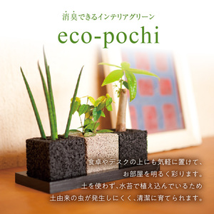S060-120_エコ・アースでご利用可能なお買い物券　9,000円分
