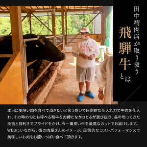 飛騨牛 サーロイン / リブロース 500g すき焼き
