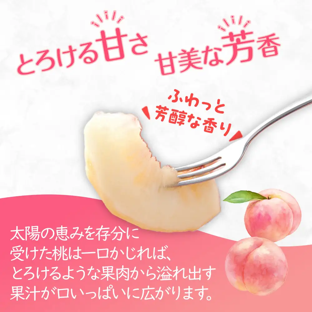 【2026年6月下旬より順次発送】特秀品！絶品「桃」約4kg(12～16玉)