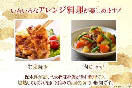 豚肉 小分け 宮崎県産豚肉 切り落とし 250g 14袋 計3.5kg セット [TRINITY 宮崎県 日向市 452061332]