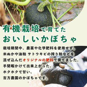 北海道士別産 かぼちゃ ブラックのジョー (4kg)【9月下旬以降準備ができ次第発送】 北海道産 国産 カボチャ 南瓜 野菜 煮物 サラダ 天ぷら 甘い 味覚の秋 【吉方農園】【A7084】