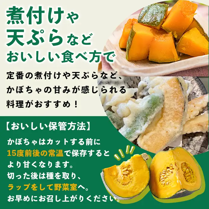 北海道士別産 かぼちゃ ブラックのジョー (8kg)【9月下旬以降準備ができ次第発送】 北海道産 国産 カボチャ 南瓜 野菜 煮物 サラダ 天ぷら 甘い 味覚の秋 【吉方農園】【B7082】