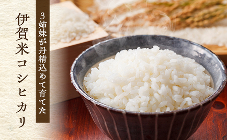 3姉妹が育てたお米 寺田農園 令和7年産 伊賀米コシヒカリ 5kg 3年連続 特A 米 こしひかり ご飯 ごはん 白米 精米 三重県 名張市
