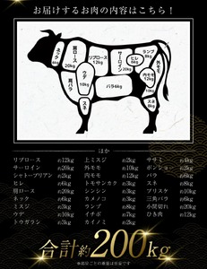 【茨城県共通返礼品】常陸牛 一頭 コンシェルジュ 縦横無尽プラン（チケット） オーダーチケット 1枚 オーダーカット 肉 お肉 牛肉 唯一無二のプラン 最大100件まで発送可能 贈答用発送可 ブランド牛 銘柄牛 茨城県 守谷市 送料無料