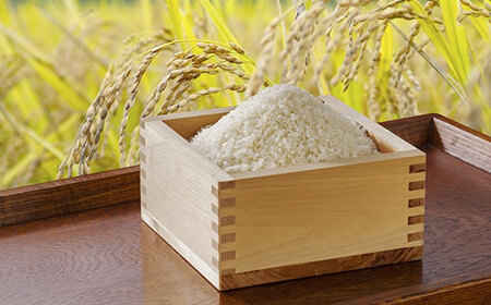 令和7年度産 京都丹波産 コシヒカリ米 精米 (5kg) ふるさと納税 福知山市 米 こめ 精米 コシヒカリ こしひかり 5kg 甘味 粘り 【fc-DF001】【スミちゃんファーム】
