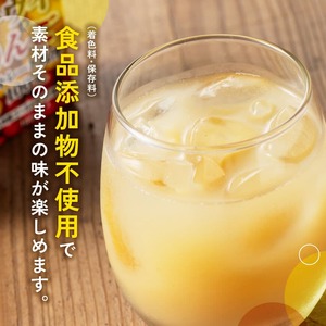 サンAキウイとりんごジュース100％　100ml紙パック×12本 【 飲料 ジュース キウイ りんご リンゴ 九州産 紙パック 送料無料 】