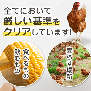 リアルオーガニック卵の定期便 30個×12回  G-501【有機卵 卵 たまご リアルオーガニック卵 有機JAS 人気 定期便 新鮮 たまごかけご飯 すき焼き 鶏卵 国産 オーガニック 玉子 贈答】