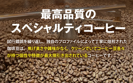 オリジナルブレンド飲み比べセット　400g（200g×2種）豆 粉 [A-185002] / コーヒー オリジナル ブレンド 飲み比べ エチオピア ドミニカ コスタリカ タンザニア ブラジル 珈琲豆 コーヒー豆 キャンプ アウトドア 自家焙煎 福井 焙煎 ロースト 珈琲
