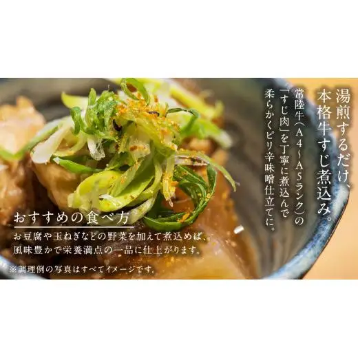 やわらか 常陸牛 すじ 煮込み 250g × 6パック (計 1500g )【茨城県共通返礼品】