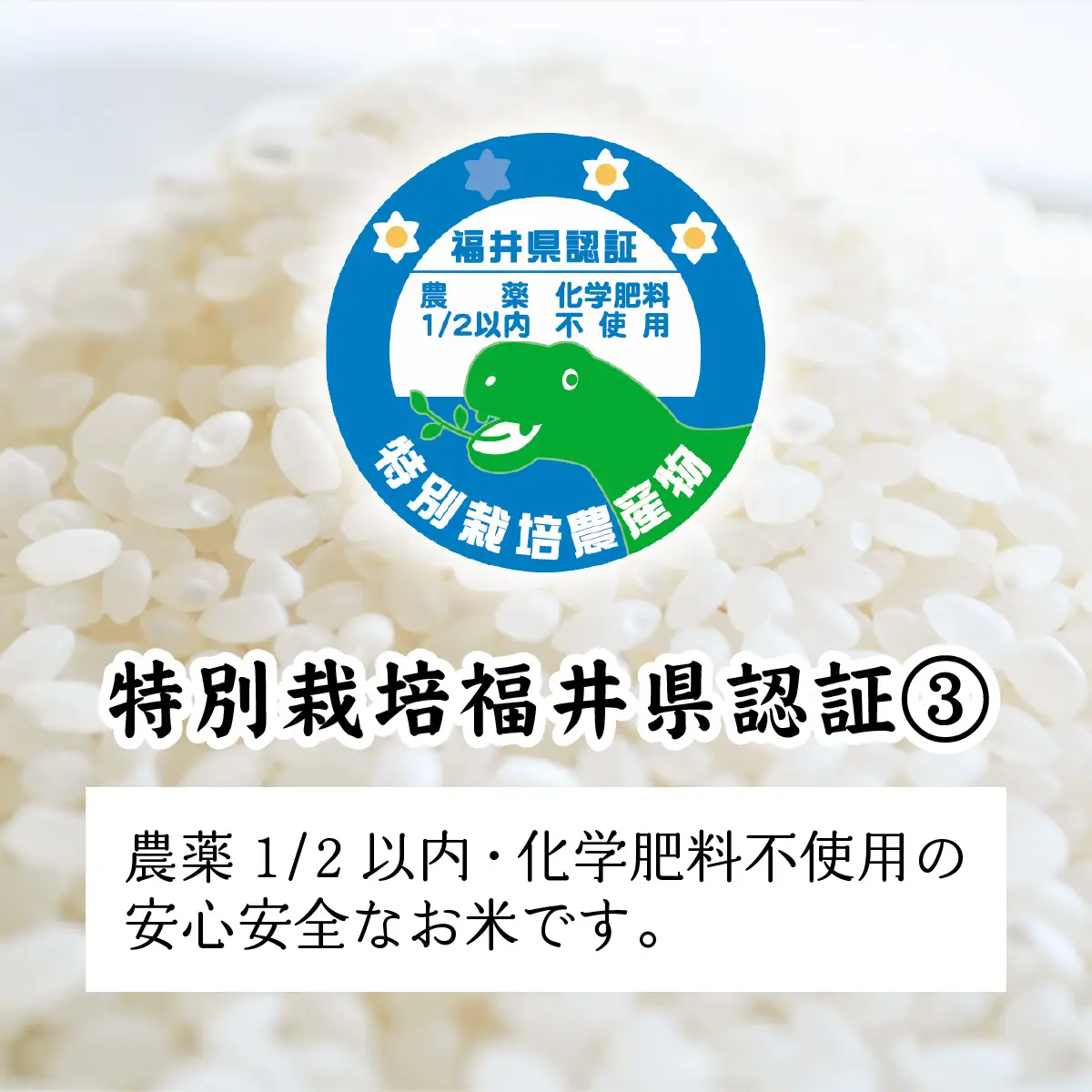 【令和8年産 】ゆうだい21 減農薬・化学肥料不使用 5kg 精米