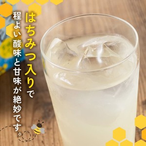 サンA はちみつレモン 125ml 紙パック 24本入り×2ケース 【 飲料 ジュース はちみつ レモン れもん マイヤーレモン 九州産 紙パック 送料無料 】