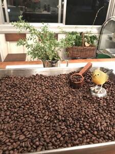 スペシャルティコーヒー飲み比べセット（100g×4種）｜ コーヒー コーヒー豆 珈琲 自家焙煎 飲み比べ 那須町 栃木県 〔P-347〕