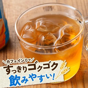 サンA 宮崎のむぎ茶 500ml PET 18本入り 【 飲料 お茶 麦茶 宮崎県産 ペットボトル 】
