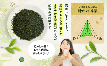 かごしま知覧茶 （ 100g × 3袋 ） K346-001_02