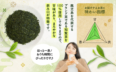 煎茶ティーバッグ 15個入り （ 1袋セット ） K346-005_01