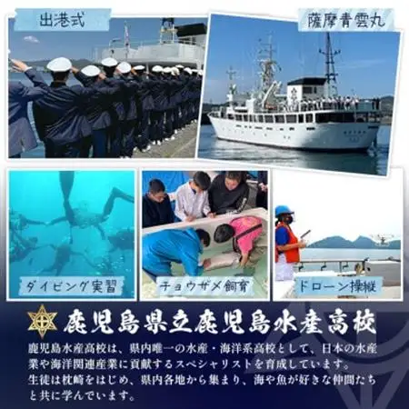 【数量限定】薩摩黒キャビア黒珠玉 鹿児島水産高校 枕崎キャビア【木箱入り】【20g×1箱】 C3-2【配送不可地域：離島】【1614940】